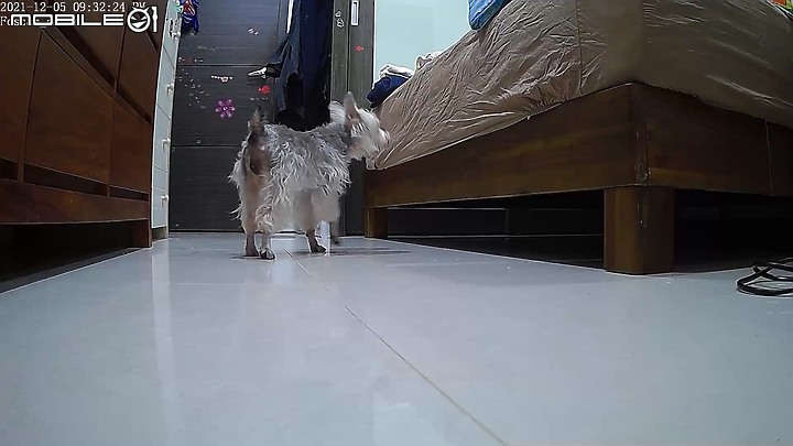 【物｜開箱】育兒好幫手FOSCAM R2M~寶貝的安全守護者