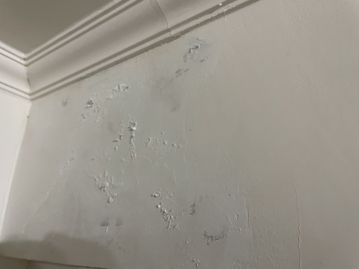 把壁癌刮除補土