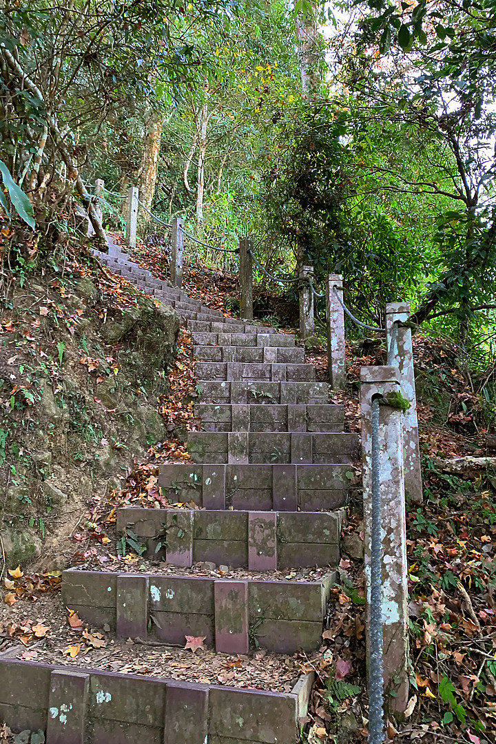 苗栗泰安｜馬那邦山登山步道｜漫步楓紅古戰場．遠眺深藍聖稜線