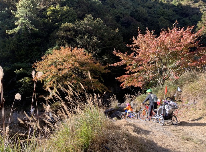 點我看大圖 上帝在這裡打翻了調色盤 - 登山車大雪山林道追楓去