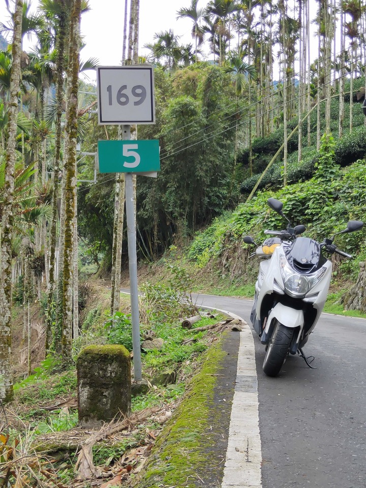 縣道169線記錄(梅山鄉太和~阿里山鄉里佳)