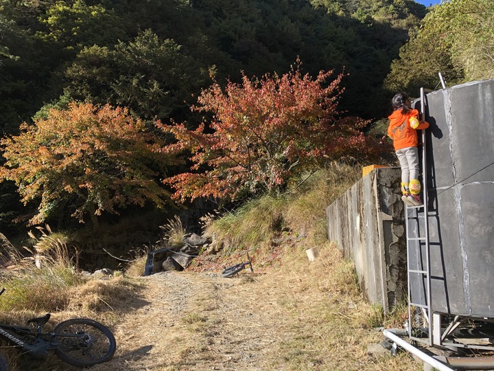 點我看大圖 上帝在這裡打翻了調色盤 - 登山車大雪山林道追楓去