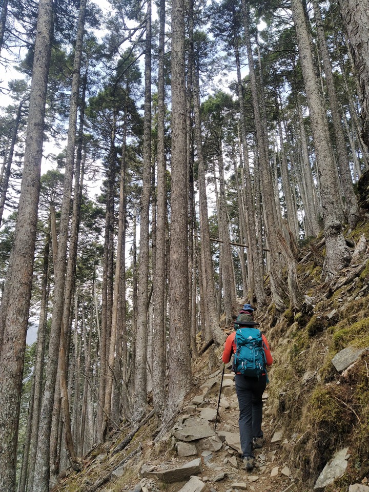 第三座五嶽雪山單攻