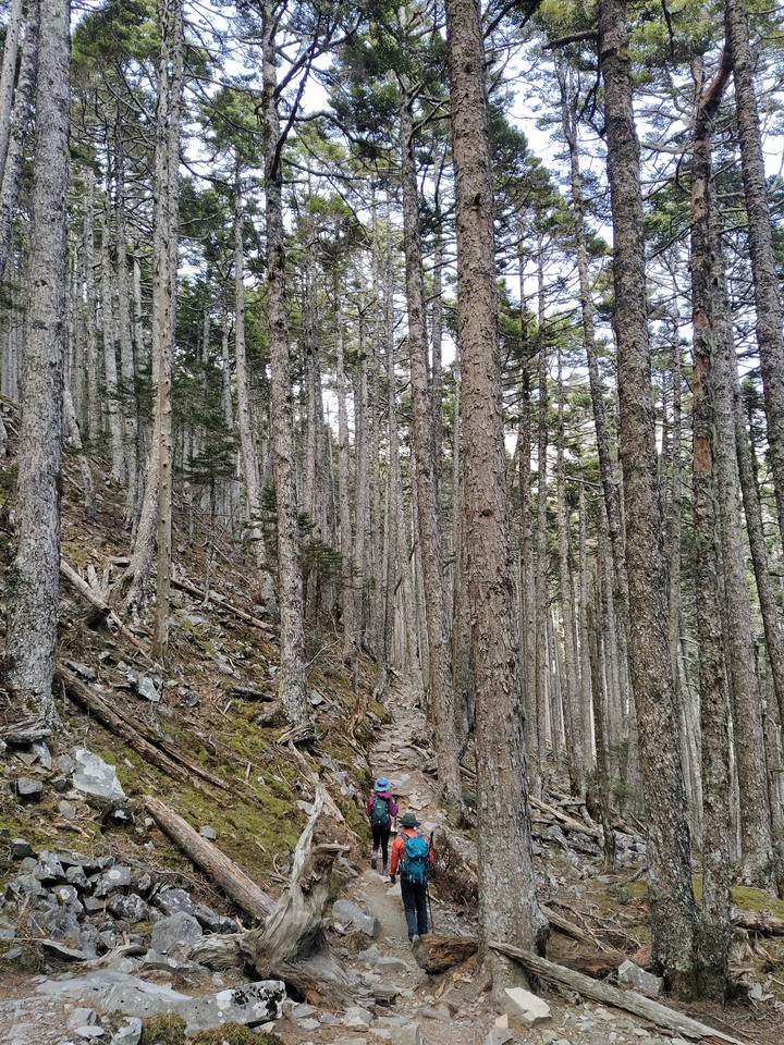 第三座五嶽雪山單攻