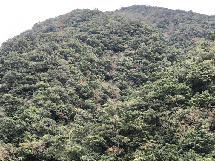 小雲豹→輕易完成的野溪溫泉瀑布SPA♨️