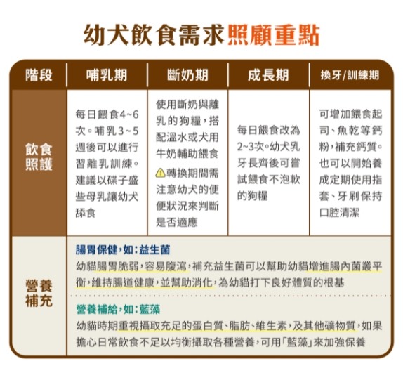 新手怎麼照顧幼犬