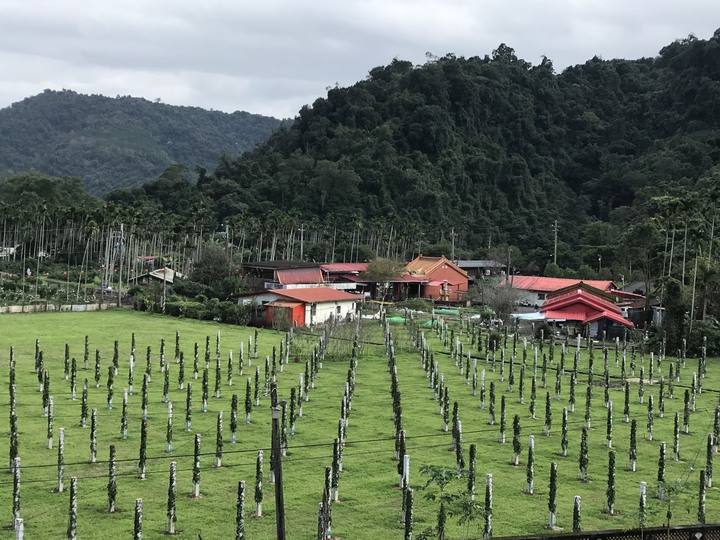 大野狼&rarr;太平山翠峰景觀道路之旅