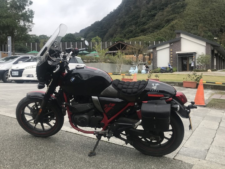 尖頭鰻的羅馬假期