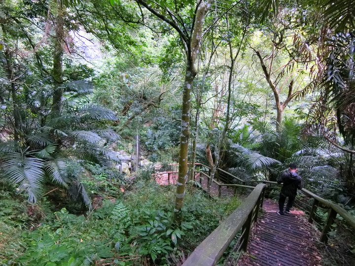 縣道169線記錄(梅山鄉太和~阿里山鄉里佳)