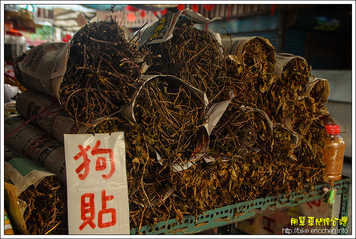 騎閱新埔的燦爛時光