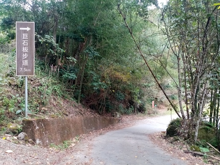 縣道169線記錄(梅山鄉太和~阿里山鄉里佳)