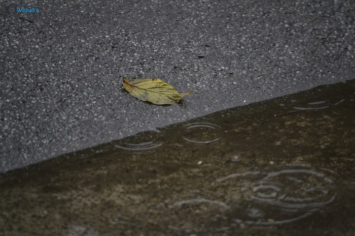 40年罕見具有光圈的反射鏡【OHNAR 300mm F5.6-16 Reflex Mirror】