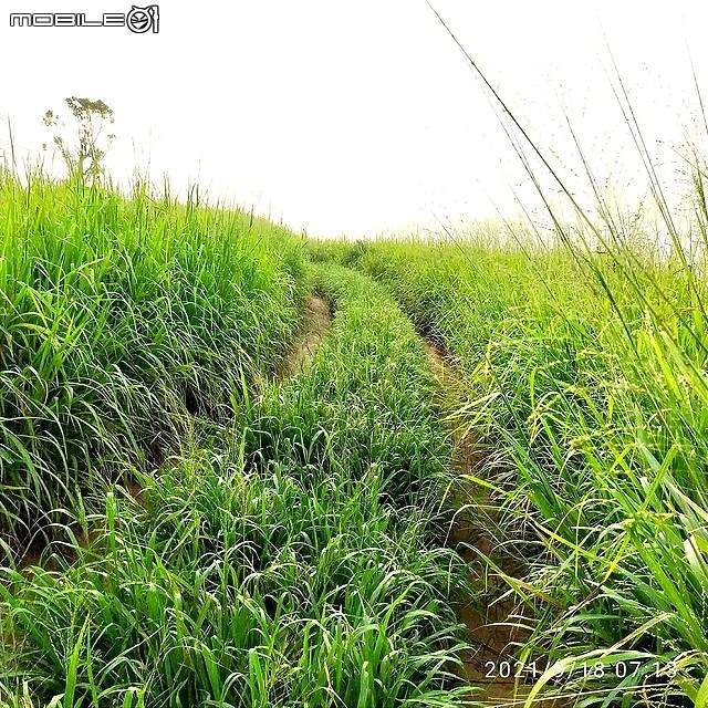 【忍者崎行旅】鐵砧山大草原碉堡輕度Off Road之旅!