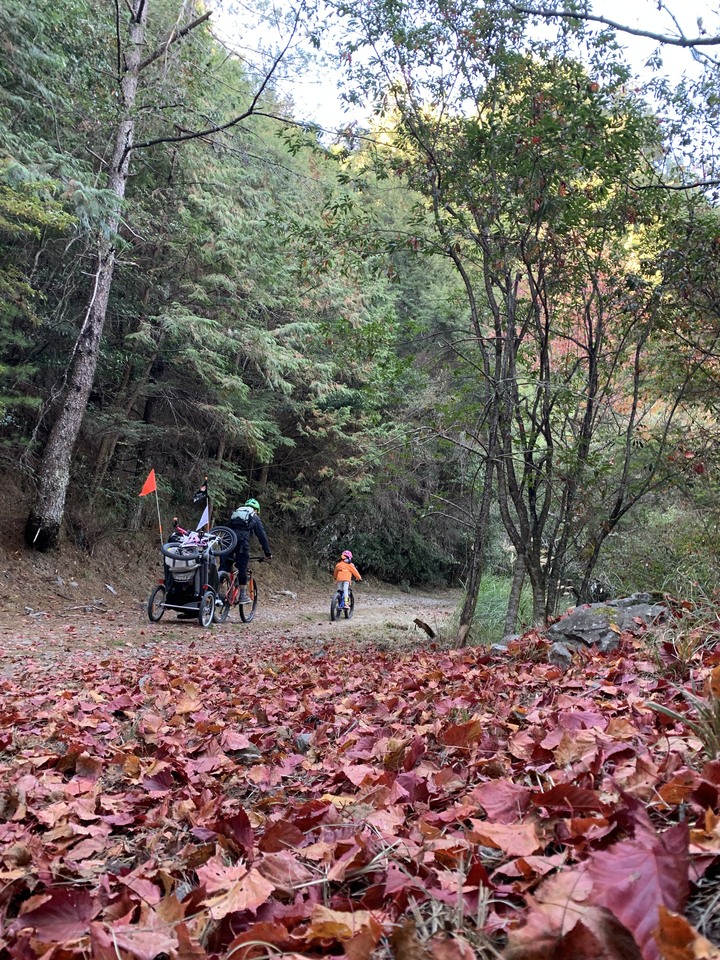 點我看大圖 上帝在這裡打翻了調色盤 - 登山車大雪山林道追楓去