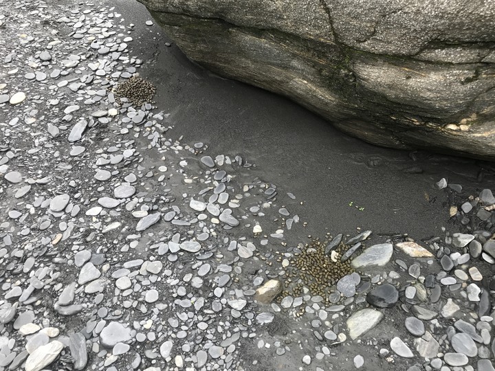 小雲豹→輕易完成的野溪溫泉瀑布SPA♨️
