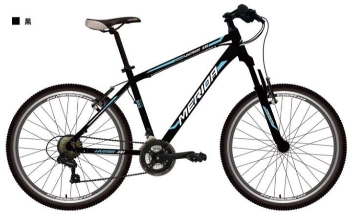 這幾台平把車怎麼選？