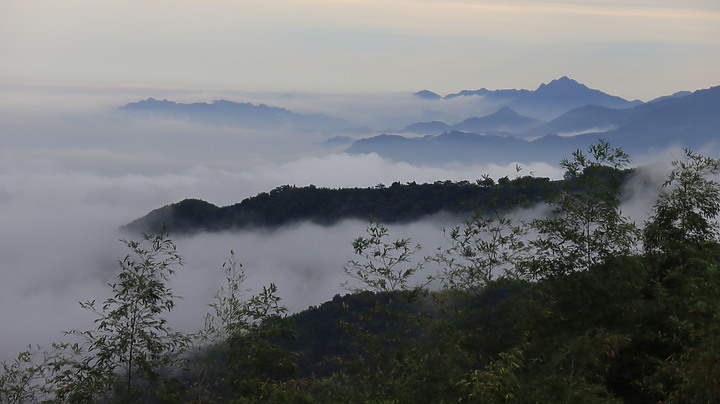 大石公  上樟空崙山  下竹崙古道  O型--茶園  竹林  銀杏  雲海  四大美景  一次滿足