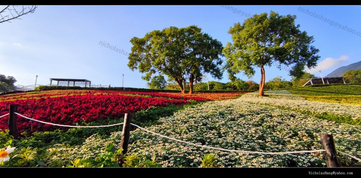 北投社三層崎公園 2012/12/02 攝