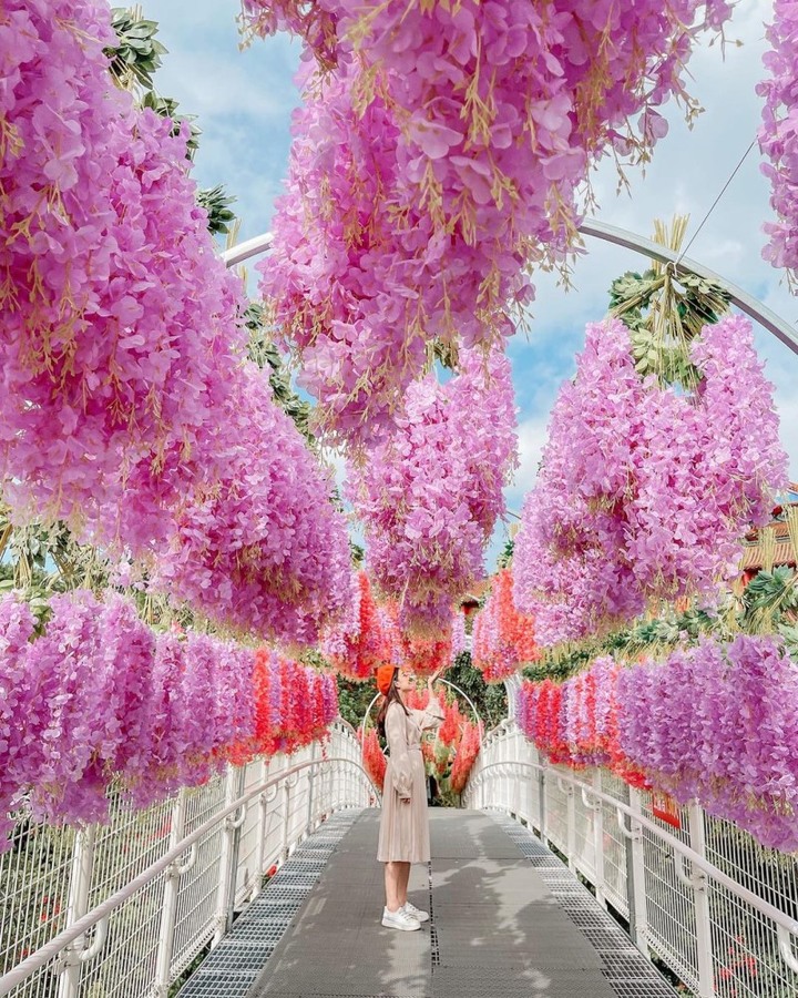 彰化天空步道掛上新佈景！流蘇瀑布般紫藤花仙氣十足