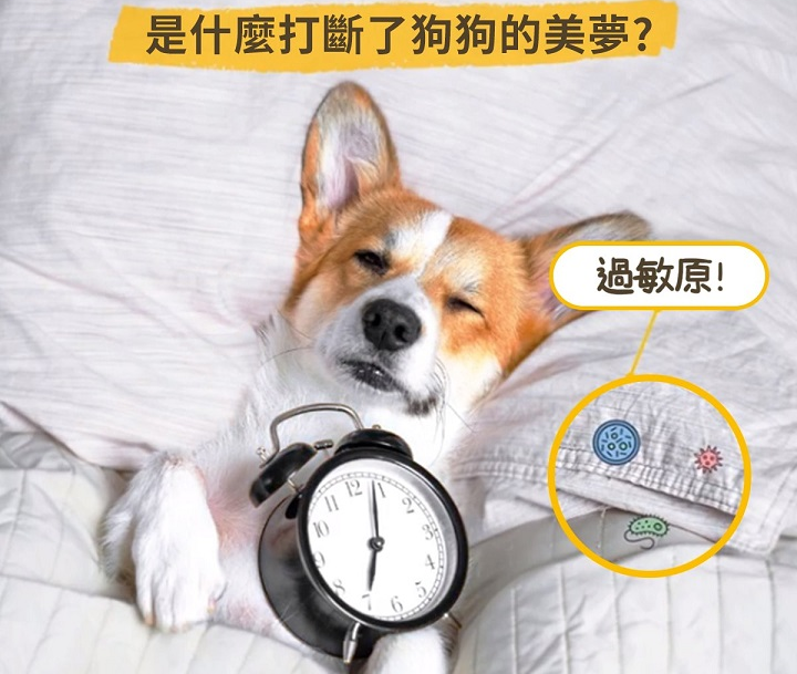 【體驗文章總集合】【快閃名額體驗】LG小家電，帶你體驗低敏居家環境，翻轉換季過敏人生！