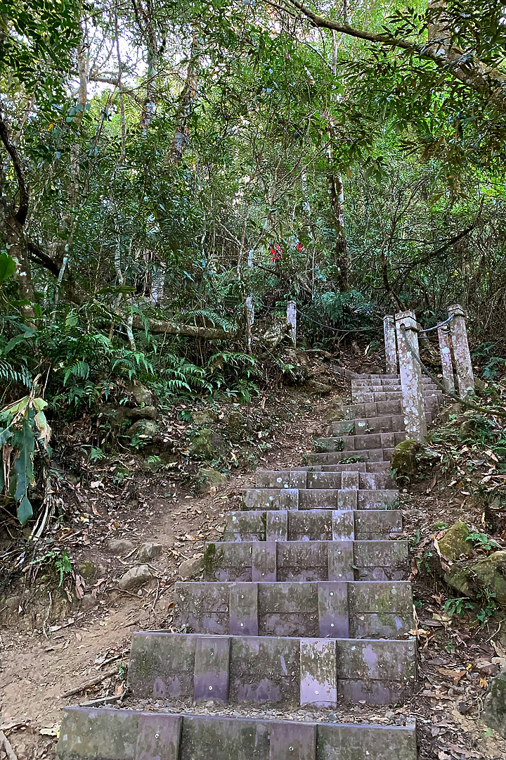 苗栗泰安｜馬那邦山登山步道｜漫步楓紅古戰場．遠眺深藍聖稜線