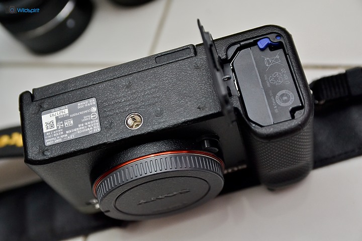 跨年後重啟攝影夥伴【SONY A7C】