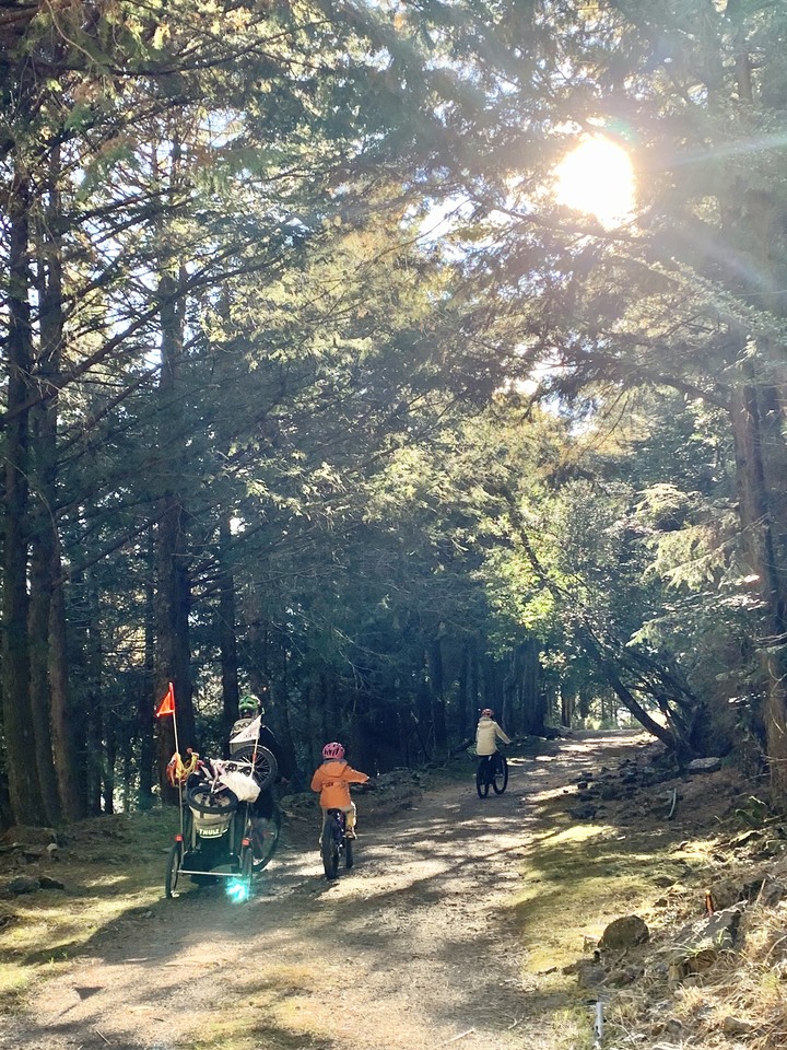點我看大圖 上帝在這裡打翻了調色盤 - 登山車大雪山林道追楓去