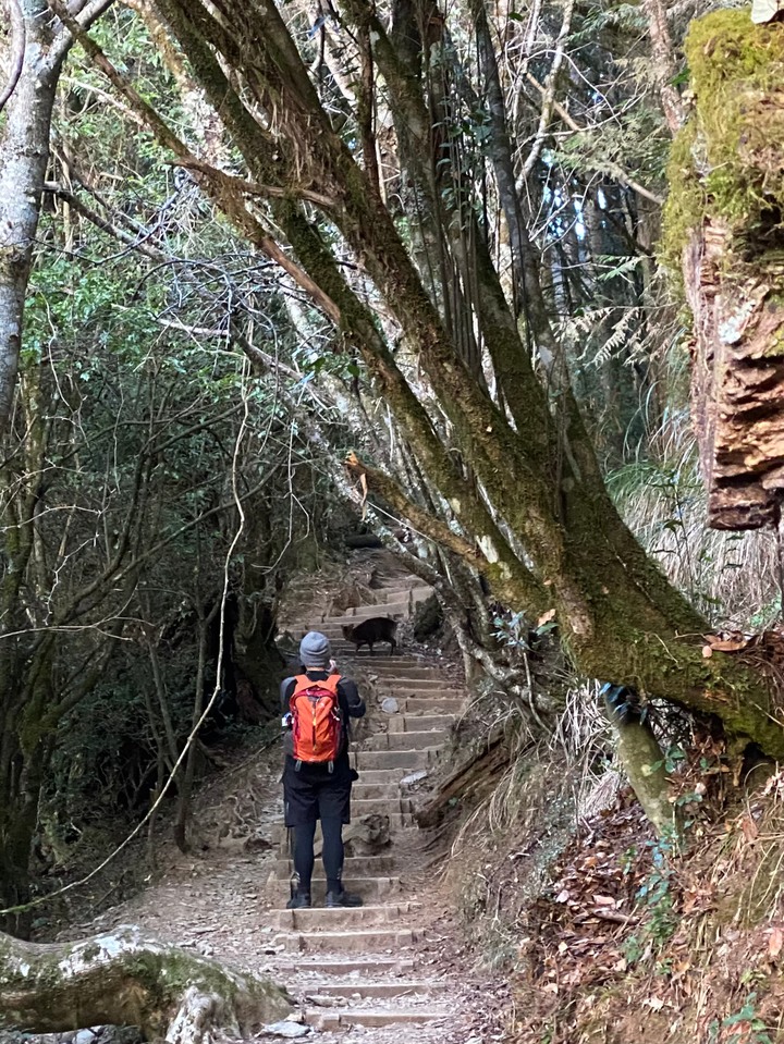 第三座五嶽雪山單攻