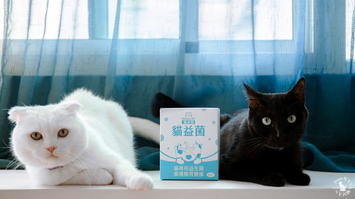 貓老闆-豆腐砂系列 直接換用沒問題,貓益生菌-提供給貓主子吃的益生菌