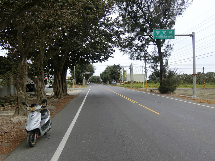 畫地圖-找尋雲林長頸龍