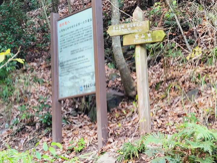 志佳陽大山新年首發百岳