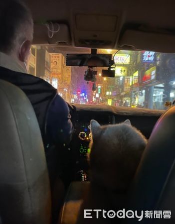 3分鐘距離...阿公堅持「開車載汪孫」出門嬤嘆:原來我只是順便
