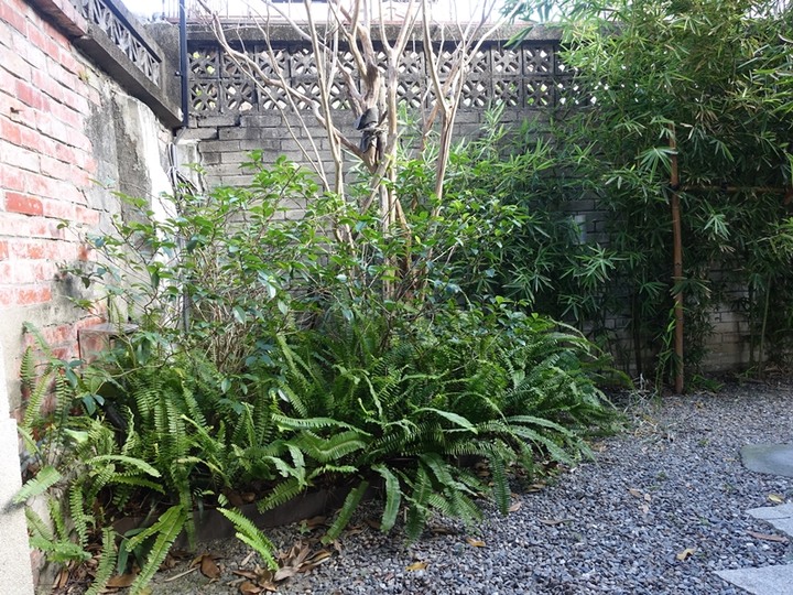 原臺北刑務所官舍|錦町日式宿舍群 |金錦町 — 時光即將倒轉,日式街道即將再現