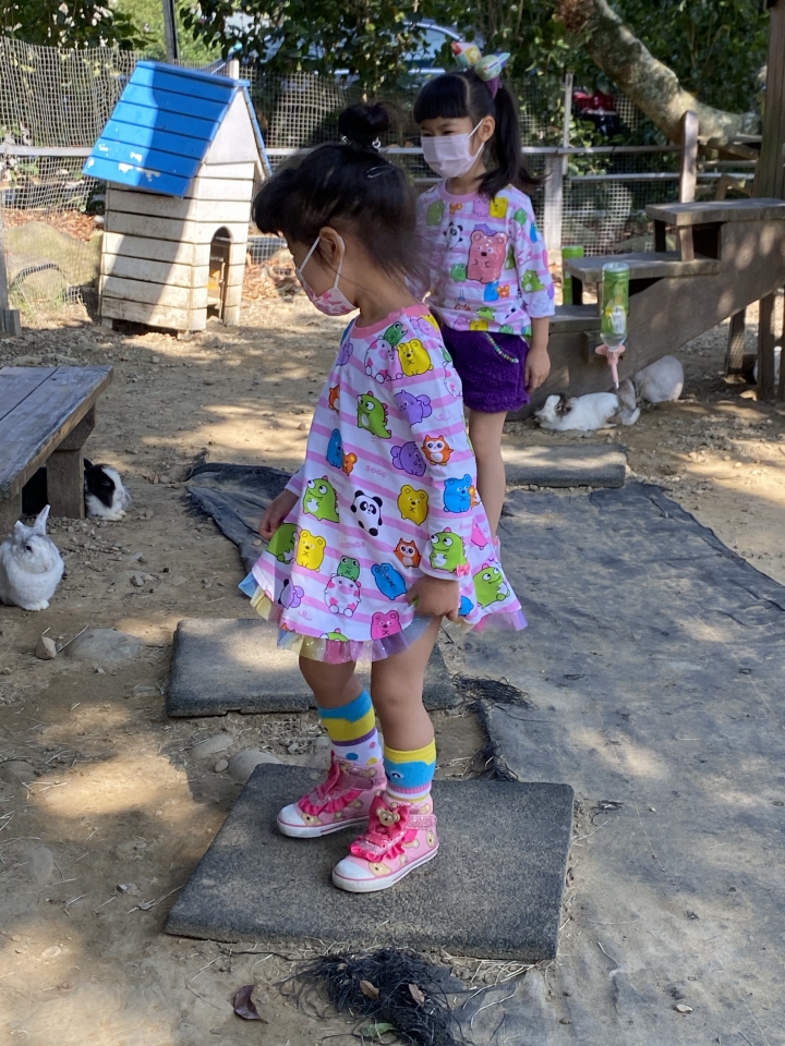 餵魚～看兔子～遛小孩的好去處～青青湖畔親水花園（景觀餐廳）