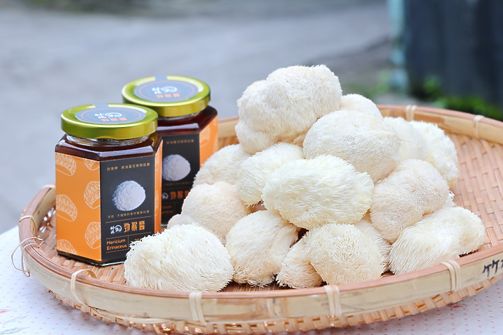 點我看大圖 (映像分享) 微距萬花筒“猴頭菇縮時”at 竹林松杉靈芝農場 feat.Canon EOS R6 & RF Lens