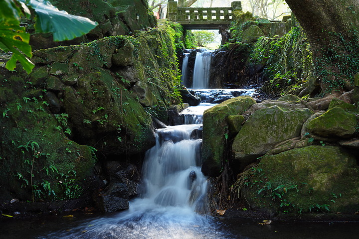 Tamron 35-150mm f/2-2.8 DiIII VXD（A058）評測報告｜大光圈旅遊鏡 取景構圖更有彈性！