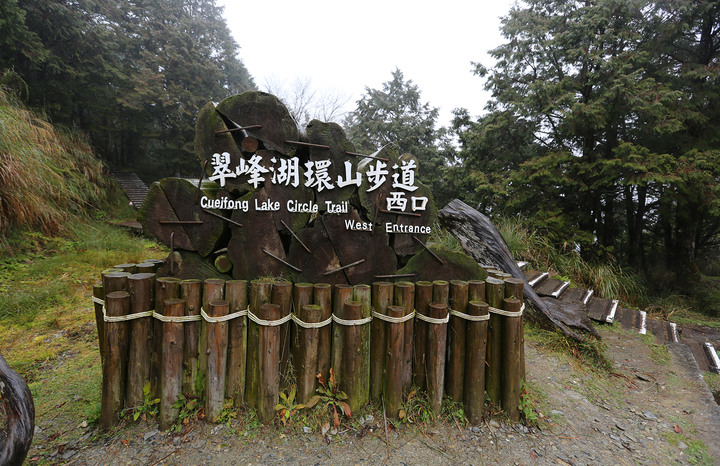 新年快樂，Kuga ST-Line四萬公里開向太平山