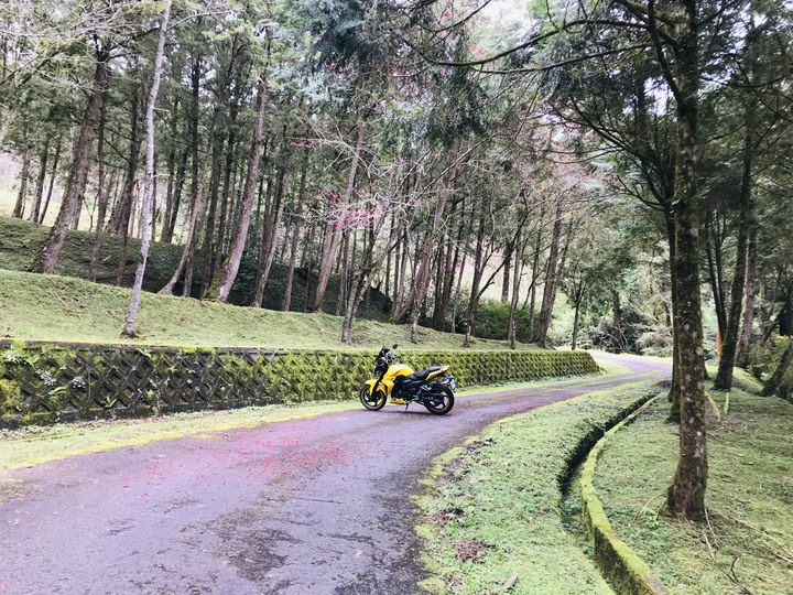 被遺忘的宜51鄉道