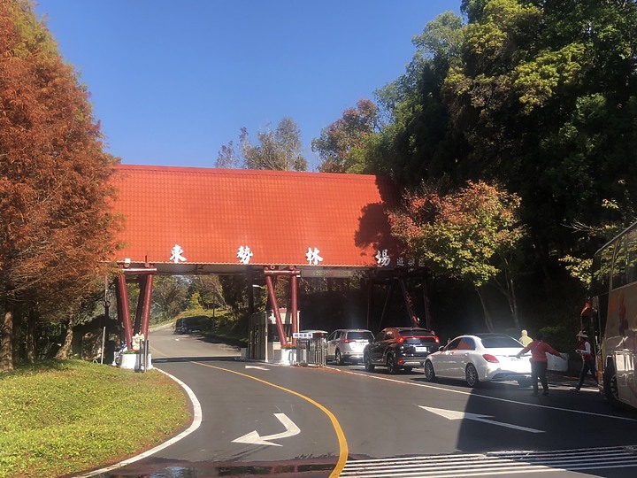 點我看大圖 灰太郎帶全家出遊去,日蝕車尾好認到連鵝子都會車上抓車友了