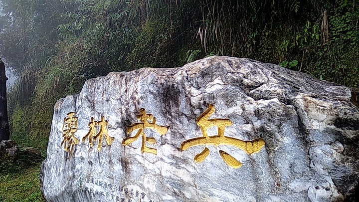 棲蘭神木園區