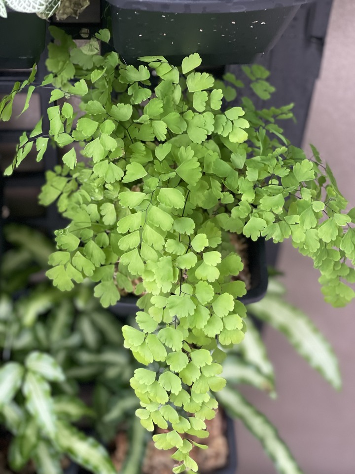 點我看大圖 風和日麗 . 新屋開箱