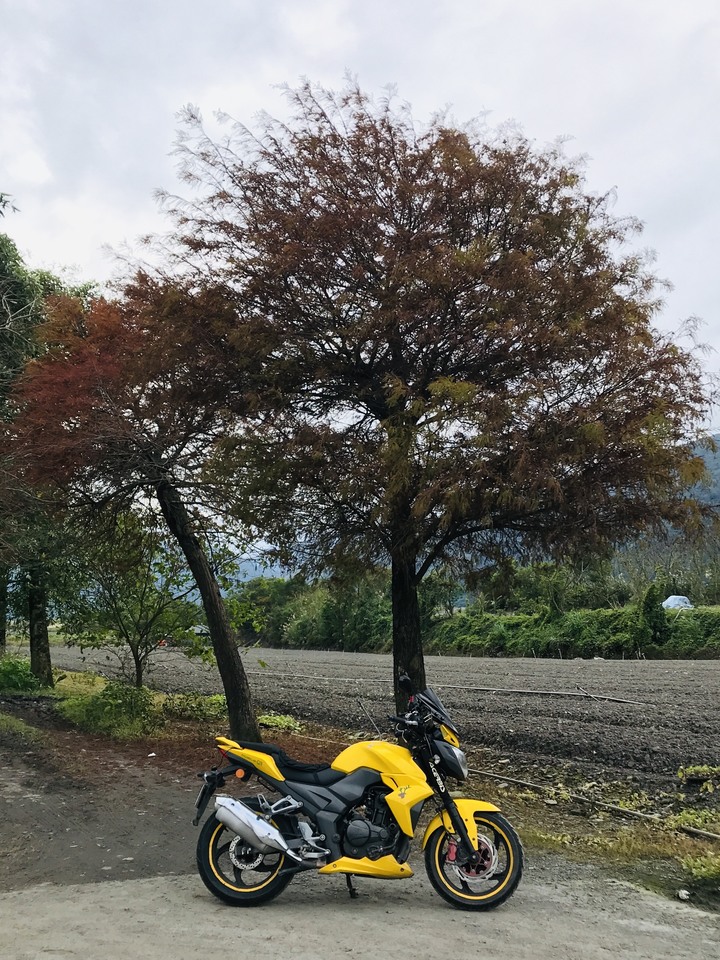 被遺忘的宜51鄉道