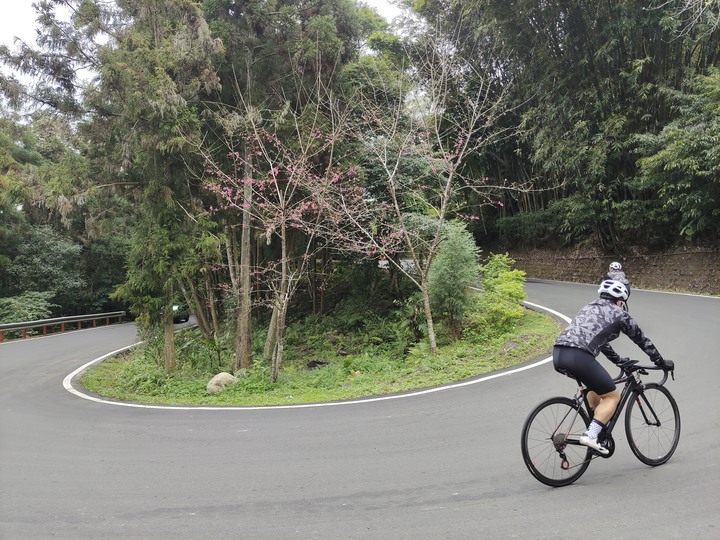 新竹五指山大山背O型休閒騎