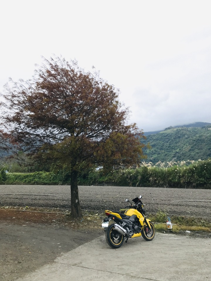 被遺忘的宜51鄉道