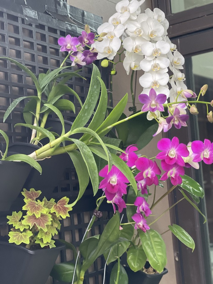 點我看大圖 風和日麗 . 新屋開箱
