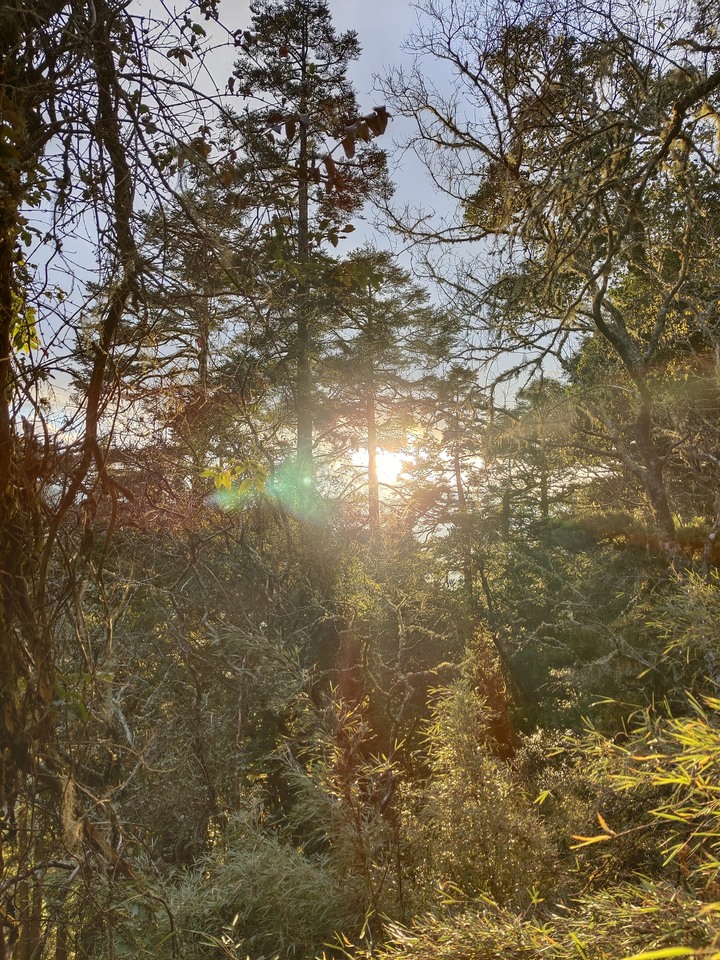 2021元旦鈴鳴閂山2天1夜
