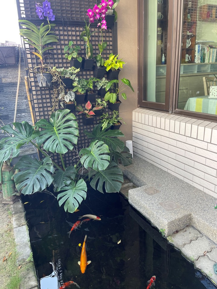 點我看大圖 風和日麗 . 新屋開箱