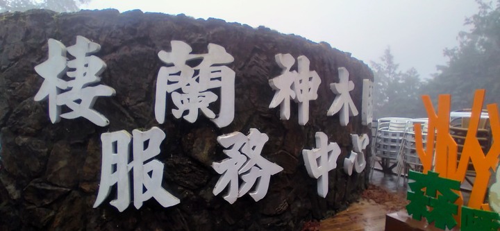 棲蘭神木園區