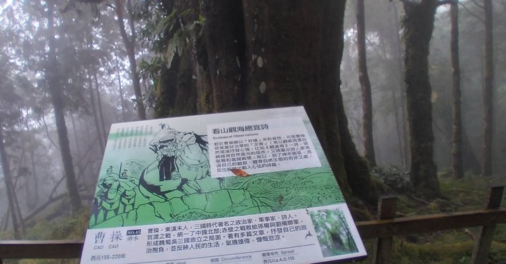 棲蘭神木園區