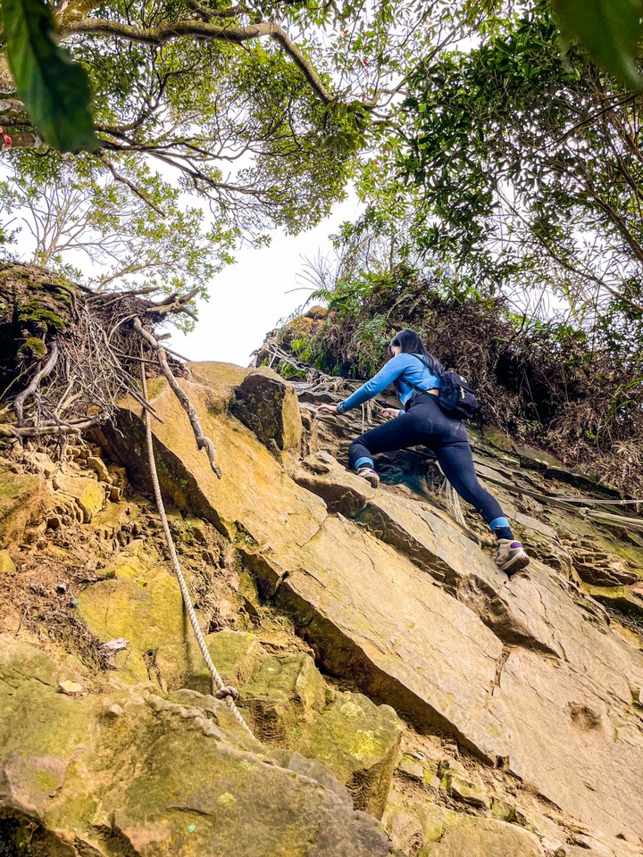 苗栗獅潭|仙山,CP值很高的小百岳,享受柳杉林又能挑戰岩壁拉繩攀爬
